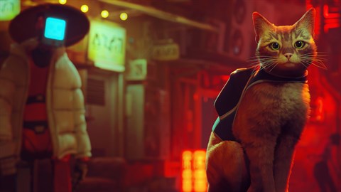 Stray Game Review: A Purr-fect Adventure in a Robotic World