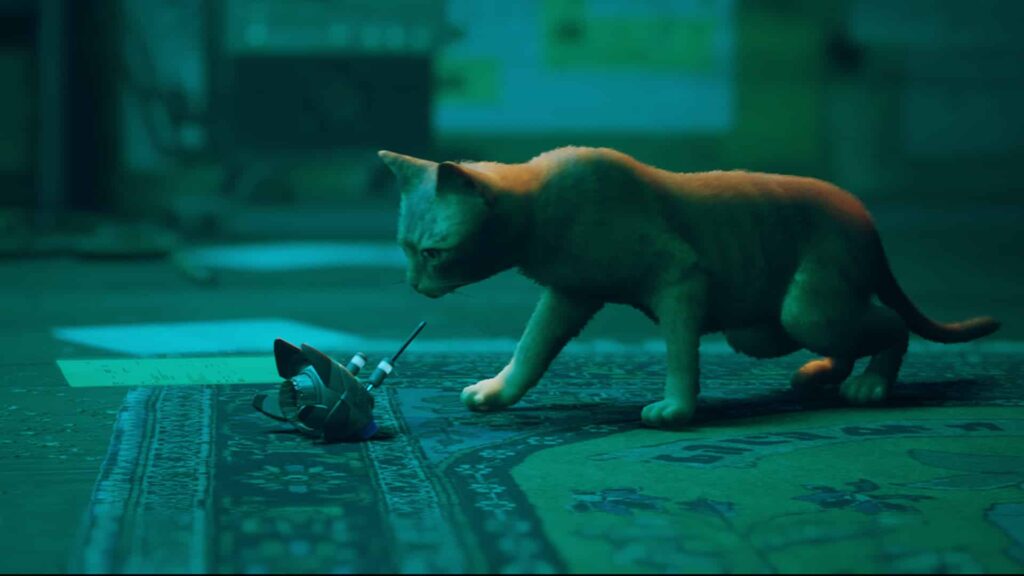 Stray game review